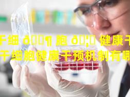干细 🐶 胞 🦁 健康干预机制（干细胞健康干预机制有哪些）